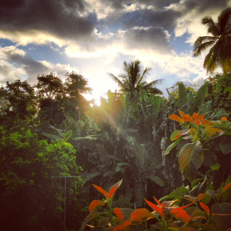 Heavenly Hana Paradise Rum bild